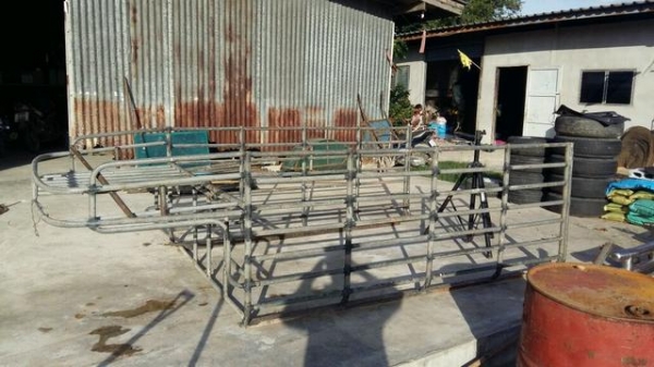 ขายคอกบิ๊กเอ็มหัวเดี่ยว