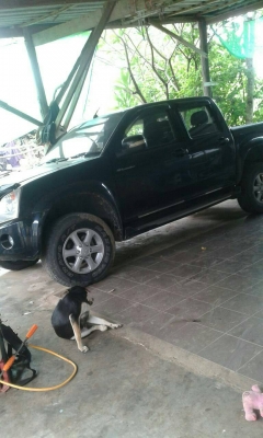 isuzu hilander gold series 2500 mt ปี 2008 ขายด่วน