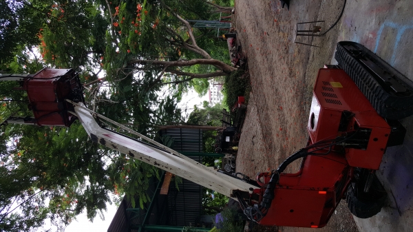 รถกระเช้า เก็บผลไม้ ตัดแต่งสวน สวิงได้ 45 ° รถกระเช้า เก็บผลไม้ ตัดแต่งสวน สวิงได้ 45 °