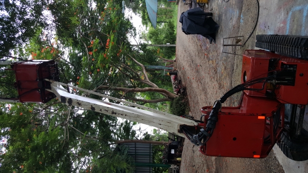 รถกระเช้า เก็บผลไม้ ตัดแต่งสวน สวิงได้ 45 ° รถกระเช้า เก็บผลไม้ ตัดแต่งสวน สวิงได้ 45 °