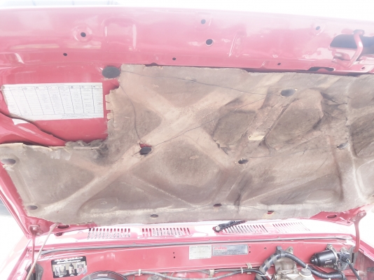 ไมตี้ตอนเดียวปี 38 พร้อมใช้ สวย ๆๆ พร้อมชุดโอน ไมตี้ตอนเดียวปี 38 พร้อมใช้ สวย ๆๆ พร้อมชุดโอน