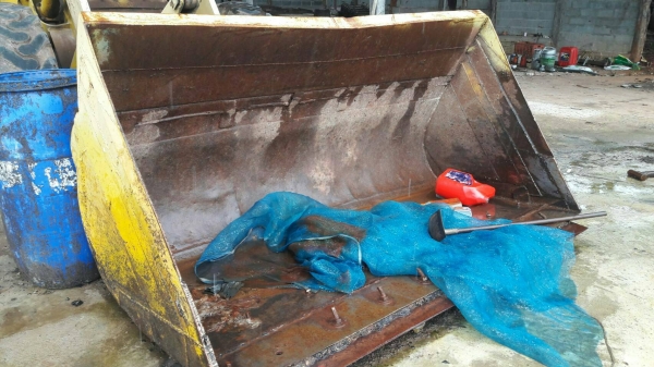 รถตัก รถตัก