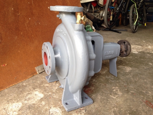 ขายหัวปั้มน้ำหอยโข่ง Ebara 80x65 fsk รุ่นใบพัดทองเหลือง ใบใหญ่ส่งไกล made in Japan ขนาดเข้า 3นิ้ว ออก 2.5นิ้ว สภาพสวย ล้างทำความสะอาดใหม่หมด พร้อมใช้งาน