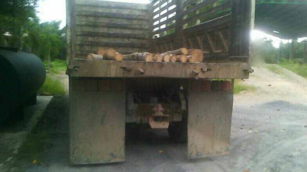 รถฮีโน่ 10 ล้อดั้ม FM1A 344 แรงม้า. ปี 55.  ( รถวิ่ง 3xx,xxx กม. ) , ( ขาย แม่ , ลูก )     สนใจติดต่อ  081 - 6079515