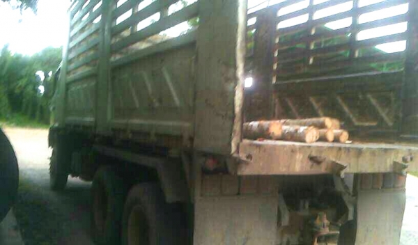 รถฮีโน่ 10 ล้อดั้ม FM1A 344 แรงม้า. ปี 55.  ( รถวิ่ง 3xx,xxx กม. ) , ( ขาย แม่ , ลูก )     สนใจติดต่อ  081 - 6079515