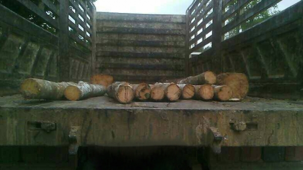 รถฮีโน่ 10 ล้อดั้ม FM1A 344 แรงม้า. ปี 55.  ( รถวิ่ง 3xx,xxx กม. ) , ( ขาย แม่ , ลูก )     สนใจติดต่อ  081 - 6079515