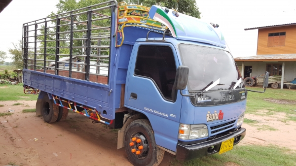 ขาย 6 ล้อIsuzu NPR 130 เเรงม้า เทอร์โบ ยาว5เมตร รถห้างเเท้สภาพนางฟ้า