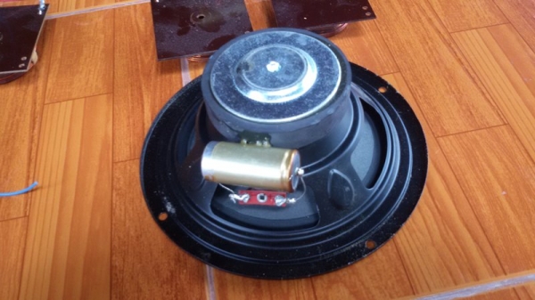 ดอกลำโพงยุโรปทั้งวุฟเฟอร์และแหลม มีมาครบพร้อมเน็ทเวิค