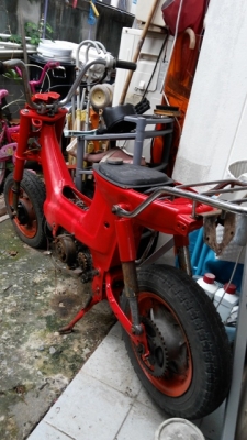 Honda ชาลี 50 ซีซี มีเครื่องพร้อมคาร์บิว