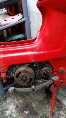 Honda ชาลี 50 ซีซี มีเครื่องพร้อมคาร์บิว