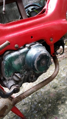 Honda ชาลี 50 ซีซี มีเครื่องพร้อมคาร์บิว