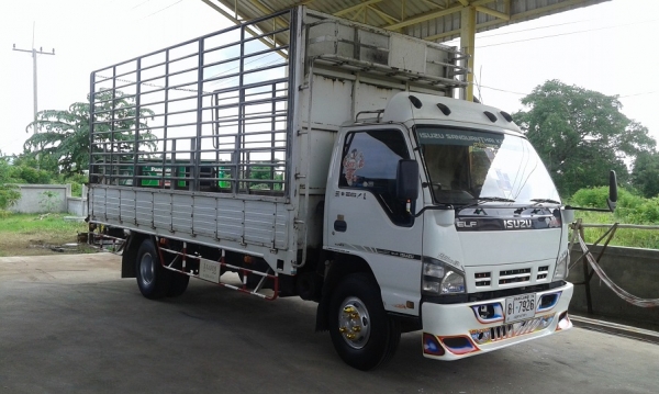 ISUZU NQR 175แรง 5.5เมตร รถห้างแท้ จดปี51 ISUZU NQR 175แรง 5.5เมตร รถห้างแท้ จดปี51