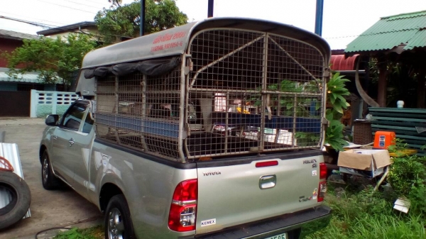 ขายคอกหลังคาเหล็ก