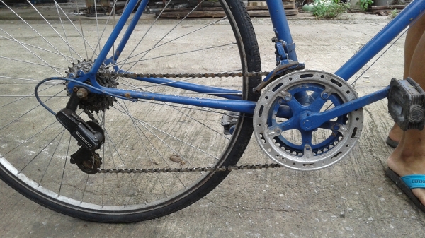 เสือหมอบรุ่นเก่า เสือหมอบรุ่นเก่า