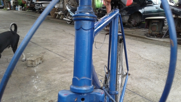 เสือหมอบรุ่นเก่า เสือหมอบรุ่นเก่า