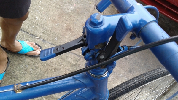 เสือหมอบรุ่นเก่า เสือหมอบรุ่นเก่า