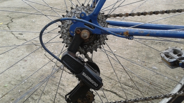 เสือหมอบรุ่นเก่า เสือหมอบรุ่นเก่า