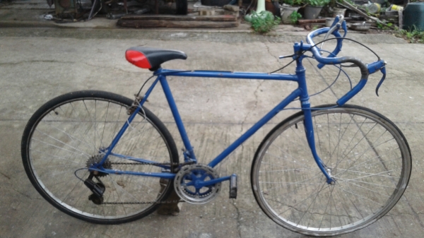 เสือหมอบรุ่นเก่า