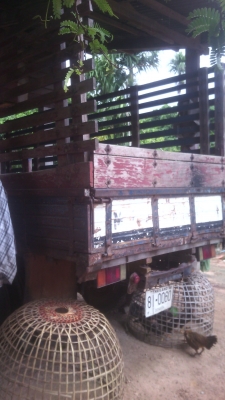 รถหกล้อมิตชูมิชิเชนเตอร์100แรงช่วงยาว