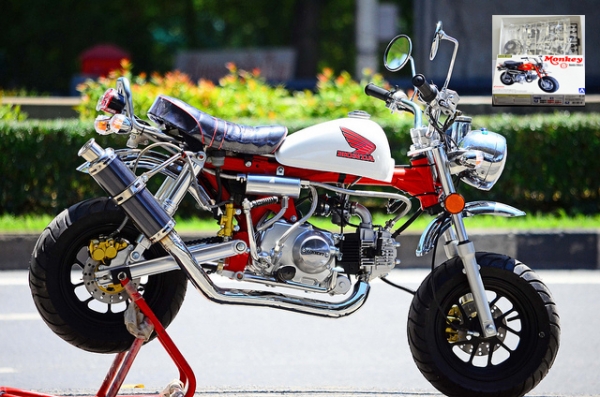 รถ/อะไหล่ !!!! ชาลี  มังกี้ กอลิล่า แต่ง  มีมากกว่า 100++ แบบ โครง cnc รวมของแต่งท่อ เบาะ เพียบ ราคาเริ่มต้น.........