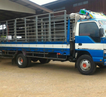 หกล้อ อีซูชุ NQR175ปี51ช่วงยาว5.50ม สภาพดีพร้อมใช้งาน ทะเบียนพร้อมโอน ราคา675,000บ สภาพนางฟ้า ไม่ผิดหวัง ครับท่าน