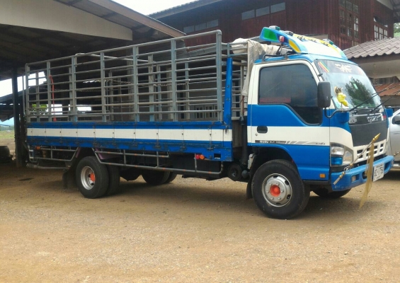 หกล้อ อีซูชุ NQR175ปี51ช่วงยาว5.50ม สภาพดีพร้อมใช้งาน ทะเบียนพร้อมโอน ราคา675,000บ สภาพนางฟ้า ไม่ผิดหวัง ครับท่าน