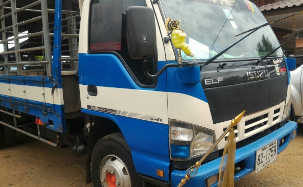 หกล้อ อีซูชุ NQR175ปี51ช่วงยาว5.50ม สภาพดีพร้อมใช้งาน ทะเบียนพร้อมโอน ราคา675,000บ สภาพนางฟ้า ไม่ผิดหวัง ครับท่าน