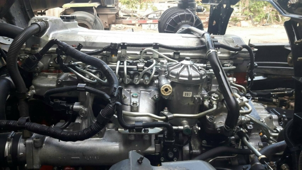 ขายครับ 251 ปี53 ดั้มสามมิตรสวยๆ (แยกเอาหัวคัชซีได้นะคร้าบ)