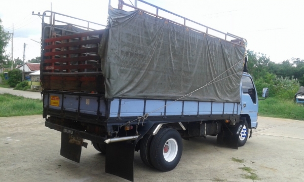 ห้างแท้ จดปี40