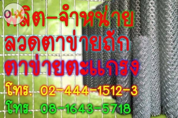 ขายลวดตาข่ายทอ ตะแกรง ลวดหนาม ตาข่ายกรงนก ขายลวดตาข่ายทอ ตะแกรง ลวดหนาม ตาข่ายกรงนก