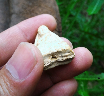 หลวงปู่ทวดพิมพ์สวยแปลก พิมพ์สองหน้าหลัง เนื้อขาวผงพุทธคุณ ใต้ฐานมีช่องรูเดิม สวยครับ พุทธคุณเต็ม