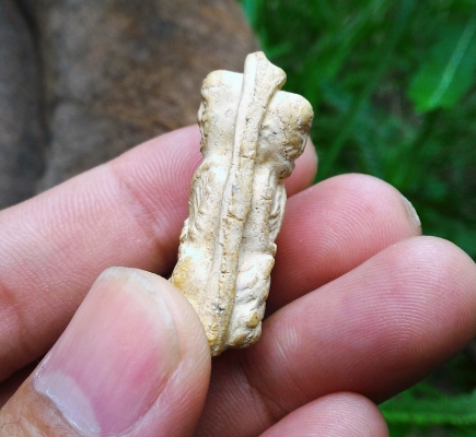 หลวงปู่ทวดพิมพ์สวยแปลก พิมพ์สองหน้าหลัง เนื้อขาวผงพุทธคุณ ใต้ฐานมีช่องรูเดิม สวยครับ พุทธคุณเต็ม