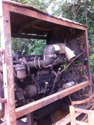 ขายปั้นจั่น085-7666984