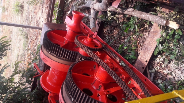 ขายปั้นจั่น085-7666984