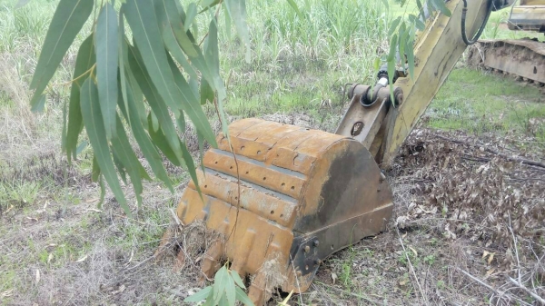 ขายด่วน KOBELCO SK200 IIIสภาพพร้อมใช้งาน เครื่องปั้มดี โซ่ช่วงล่างเต็ม เอวแน่น รถสภาพพร้อมใช้งาน เอกสารใบอินวอยซ์