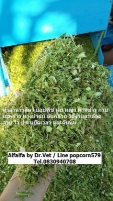 เครื่องย่อยกิ่งไม้ใบไม้ บ้านหมอเล็ก BlueRay 6.5