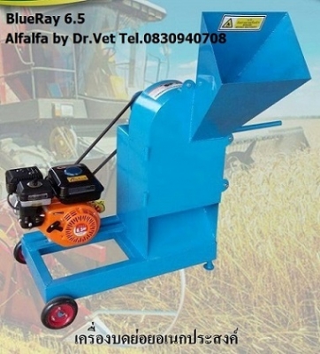 เครื่องย่อยกิ่งไม้ใบไม้ บ้านหมอเล็ก BlueRay 6.5