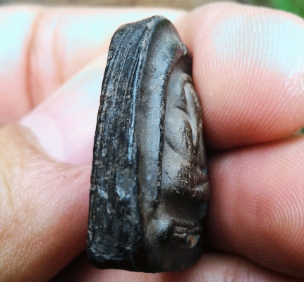 พระปิดตาหลวงปู่ทิม เนื้อผงจุ่มรักดำ หลังยันต์ประจำหลวงปู่