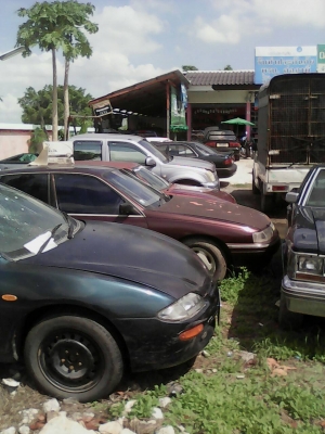 ขายด่วน เชิญไปเลือกเลย