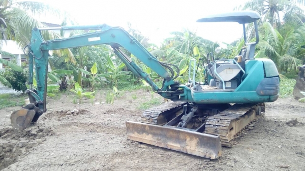 ขายโคมัสสุ40-7