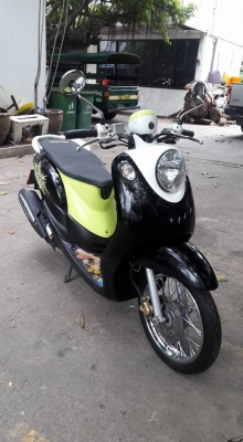 ขายลูกเดียว fino ท่ออามเดิมๆ ปี2554 ขายทุกวัน