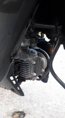 ขายลูกเดียว wave100x ปี2551 ขายทุกวัน ขายลูกเดียว wave100x ปี2551 ขายทุกวัน