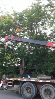 ขาย 550,000บ สิบล้อ ฮีโน่ KT925 HO7C185เพาเดียว เบรคทิฟฟี พ.เวอร์ ติดเครน UNIC 4.5ตัน สภาพดีพร้อมใช้ ทะเบียนพร้อมโอน ขาย 550,000บ สิบล้อ ฮีโน่ KT925 HO7C185เพาเดียว เบรคทิฟฟี พ.เวอร์ ติดเครน UNIC 4.5ตัน สภาพดีพร้อมใช้ ทะเบียนพร้อมโอน