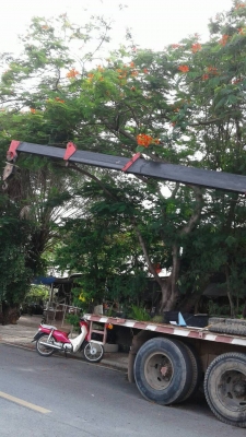 ขาย 550,000บ สิบล้อ ฮีโน่ KT925 HO7C185เพาเดียว เบรคทิฟฟี พ.เวอร์ ติดเครน UNIC 4.5ตัน สภาพดีพร้อมใช้ ทะเบียนพร้อมโอน ขาย 550,000บ สิบล้อ ฮีโน่ KT925 HO7C185เพาเดียว เบรคทิฟฟี พ.เวอร์ ติดเครน UNIC 4.5ตัน สภาพดีพร้อมใช้ ทะเบียนพร้อมโอน