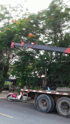 ขาย 550,000บ สิบล้อ ฮีโน่ KT925 HO7C185เพาเดียว เบรคทิฟฟี พ.เวอร์ ติดเครน UNIC 4.5ตัน สภาพดีพร้อมใช้ ทะเบียนพร้อมโอน ขาย 550,000บ สิบล้อ ฮีโน่ KT925 HO7C185เพาเดียว เบรคทิฟฟี พ.เวอร์ ติดเครน UNIC 4.5ตัน สภาพดีพร้อมใช้ ทะเบียนพร้อมโอน