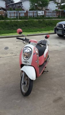 ขาย/แลก HONDA SCOOPY I ปี 2014