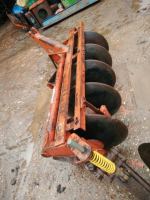 ผานห้าช้างใบใหม่ๆ ผานห้าช้างใบใหม่ๆ