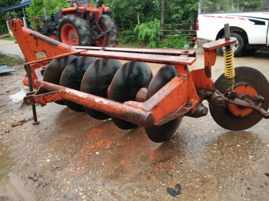 ผานห้าช้างใบใหม่ๆ ผานห้าช้างใบใหม่ๆ