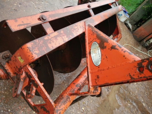 ผานห้าช้างใบใหม่ๆ