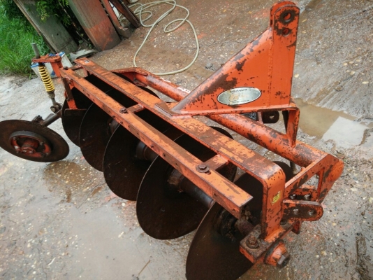 ผานห้าช้างใบใหม่ๆ ผานห้าช้างใบใหม่ๆ